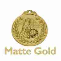 2-matte-gold-plating-challenge-coin-matte-gold-plating-lapel-pin-matte-gold-plating-badge-matte-gold-plating-medal