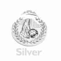 4-silver-plating-challenge-coin-silver-plating-lapel-pin-silver-plating-badge-silver-plating-medal