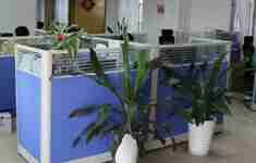 Sales Dept
