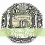 2-Antique-Silver-and-Antique-Brass-Plating-Coins-iLapelpin.com