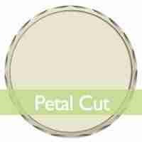 7 Challenge Coin Petal Cut Edge - iLapelpin.com