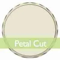 7 Challenge Coin Petal Cut Edge - iLapelpin.com